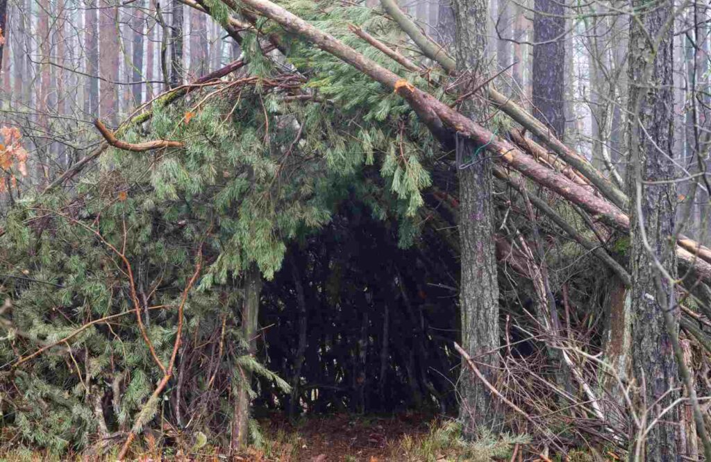 Kompetencje i korzyści ze szkoleń survivalowych