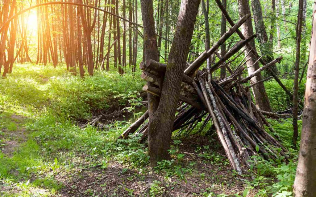 Higiena w terenie i profilaktyka zdrowia